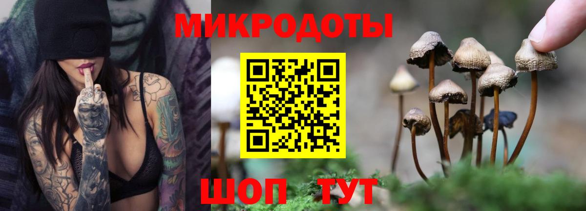Галлюциногенные грибы Psilocybine cubensis Мыски